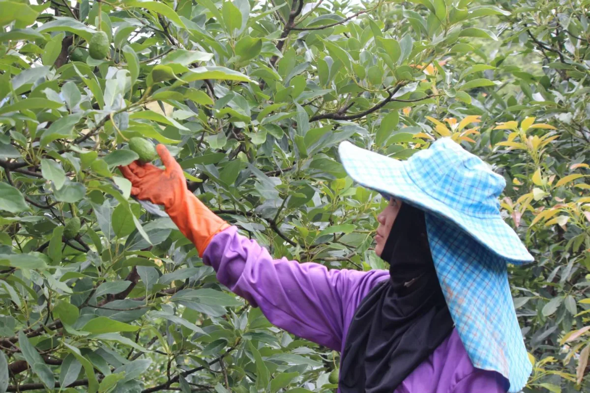 บ้านห้วยขี้เปอะ