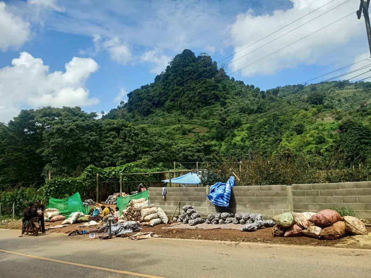 ผลไม้สดดอยอ่างขาง By นัชชา 