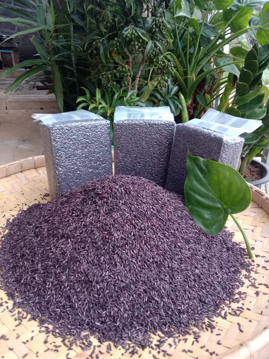 ข้าวเหนียวดำ ราคาส่ง