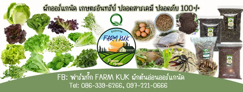 ฟาร์มกั๊ก FARM  KUK เกษตรปลอดสาร