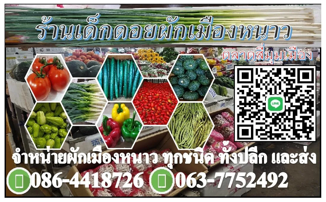 ร้านเด็กดอยผักเมืองหนาวตลาดสี่มุมเมือง