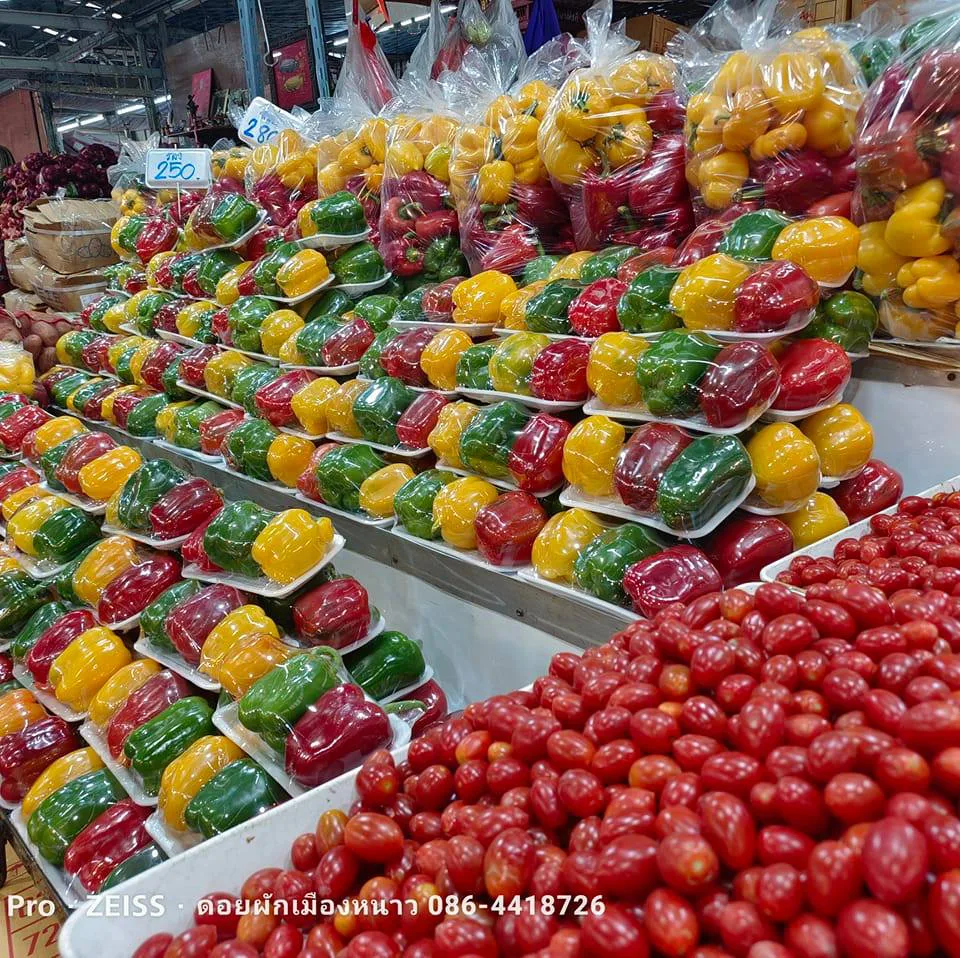 ร้านเด็กดอยผักเมืองหนาวตลาดสี่มุมเมือง