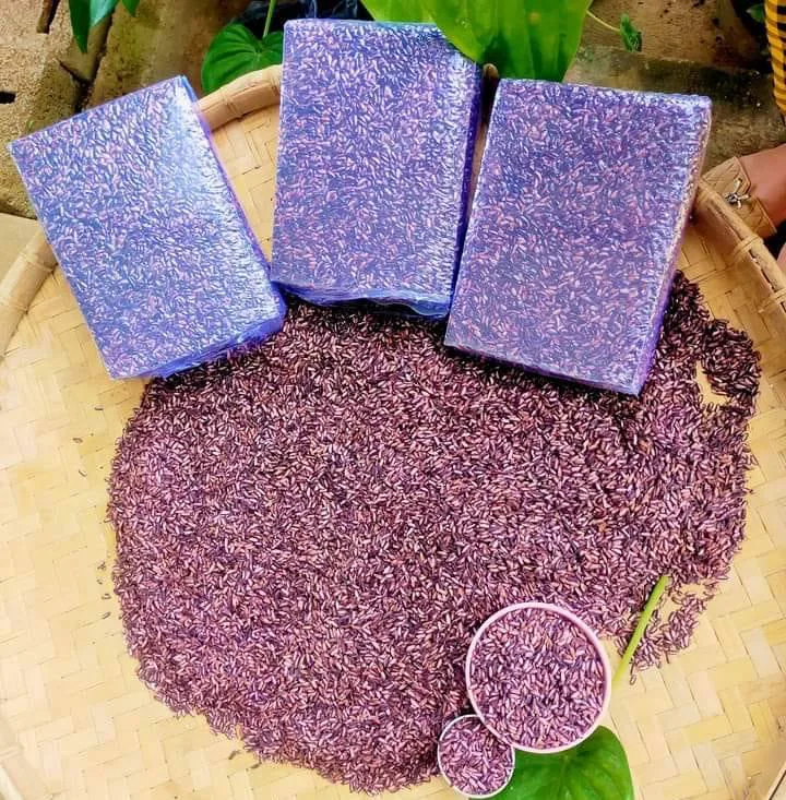 ข้าวเหนียวดำ ราคาส่ง