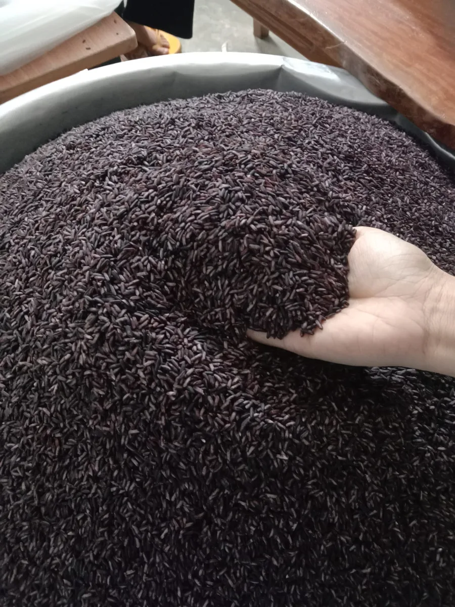 ข้าวเหนียวดำ