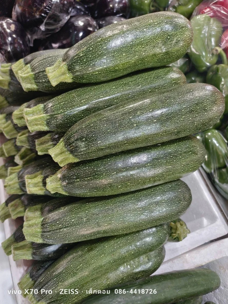 ซูกินี่