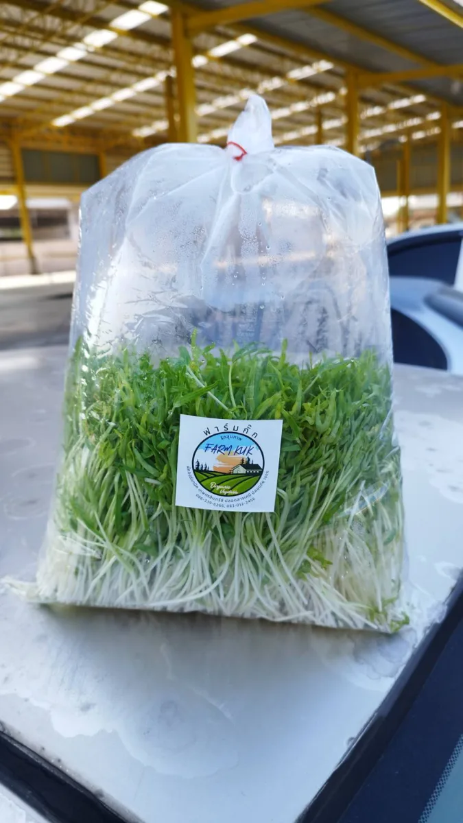 โต้วเหมี่ยว (ต้นอ่อนถั่วลันเตา)