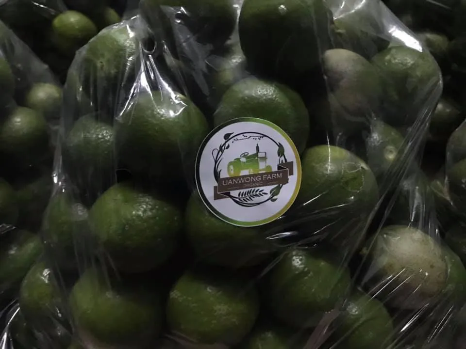 มะนาวแป้น