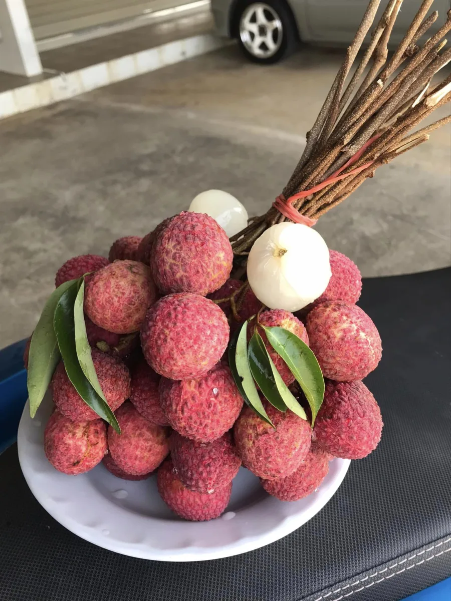 ลิ้นจี่จักพรรดิ์